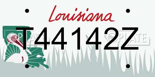 T44142Z Louisiana License Plate