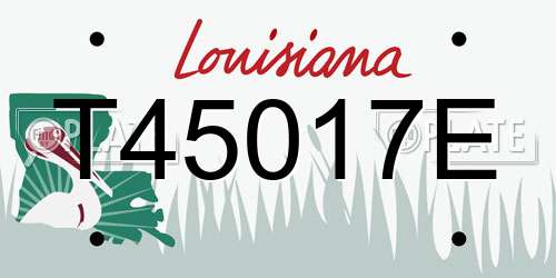 T45017E Louisiana License Plate