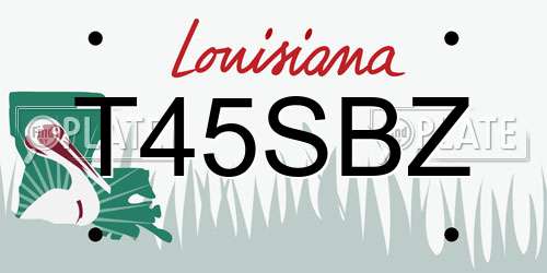 T45SBZ Louisiana License Plate