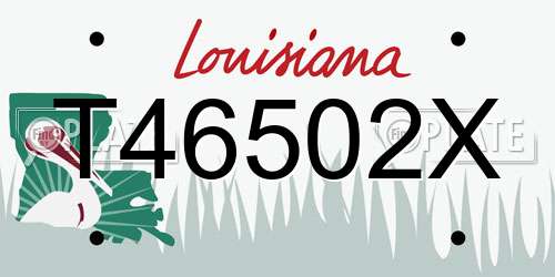 T46502X Louisiana License Plate