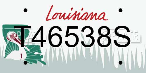 T46538S Louisiana License Plate
