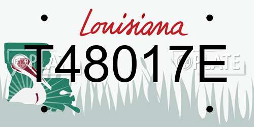 T48017E Louisiana License Plate