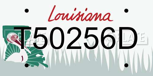 T50256D Louisiana License Plate