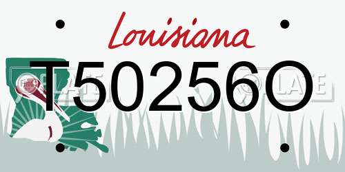 T50256O Louisiana License Plate