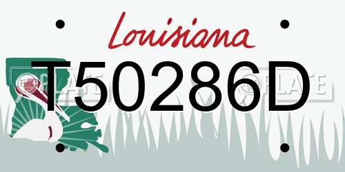 T50286D Louisiana License Plate