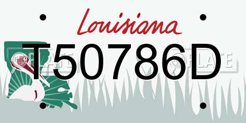 T50786D Louisiana License Plate
