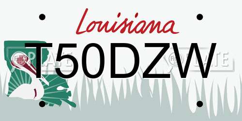 T50DZW Louisiana License Plate