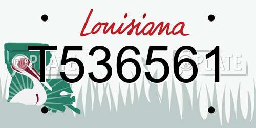 T536561 Louisiana License Plate