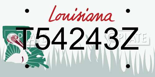 T54243Z Louisiana License Plate