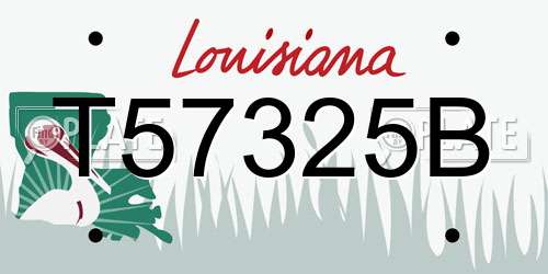 T57325B Louisiana License Plate