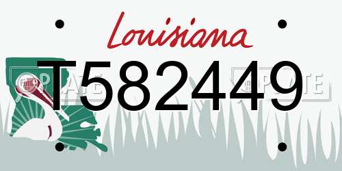 T582449 Louisiana License Plate