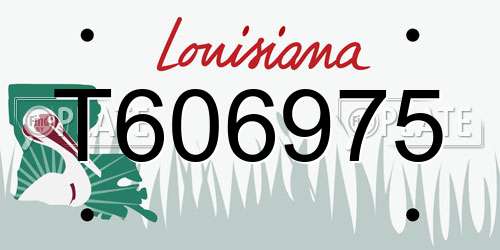 T606975 Louisiana License Plate
