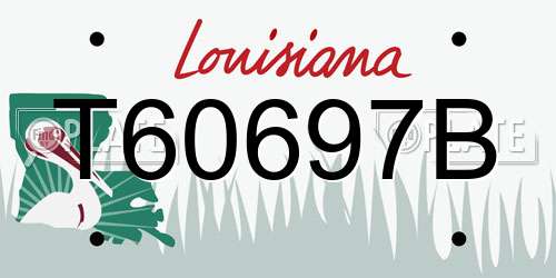 T60697B Louisiana License Plate