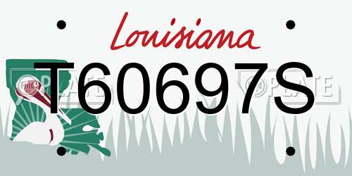 T60697S Louisiana License Plate