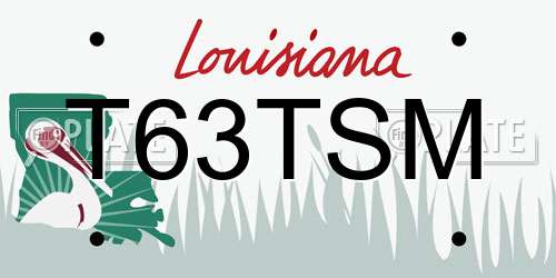 T63TSM Louisiana License Plate