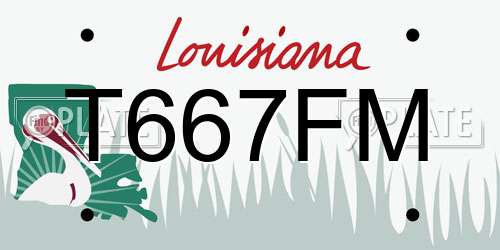 T667FM Louisiana License Plate