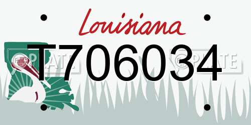 T706034 Louisiana License Plate