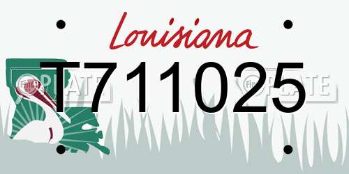 T711025 Louisiana License Plate