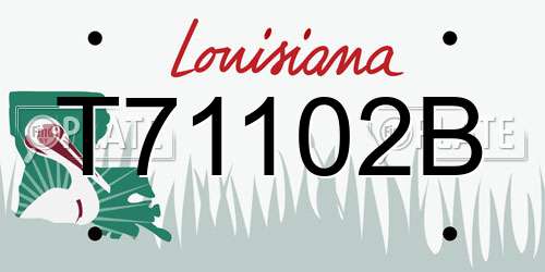 T71102B Louisiana License Plate