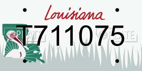 T711075 Louisiana License Plate