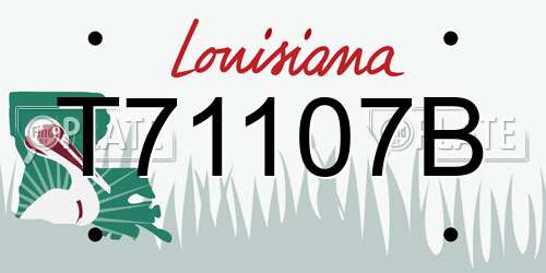 T71107B Louisiana License Plate