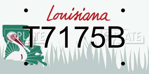 T7175B Louisiana License Plate