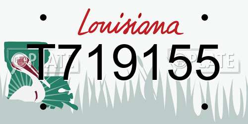 T719155 Louisiana License Plate