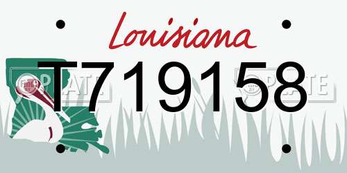 T719158 Louisiana License Plate