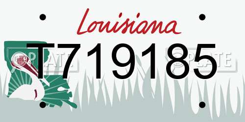 T719185 Louisiana License Plate