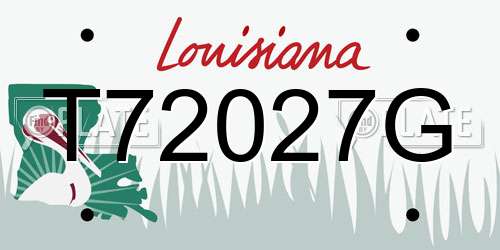 T72027G Louisiana License Plate