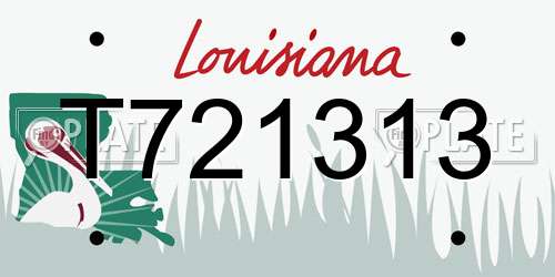 T721313 Louisiana License Plate