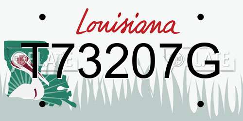 T73207G Louisiana License Plate
