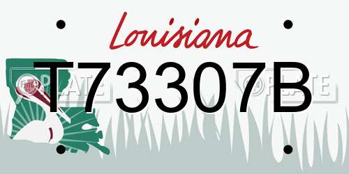 T73307B Louisiana License Plate