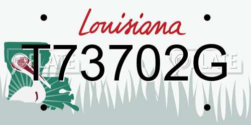 T73702G Louisiana License Plate
