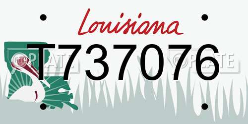 T737076 Louisiana License Plate