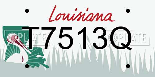 T7513Q Louisiana License Plate