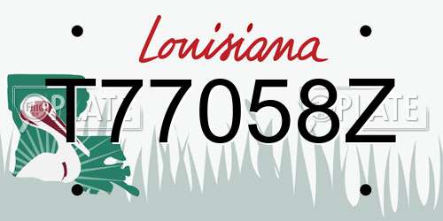 T77058Z Louisiana License Plate