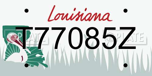 T77085Z Louisiana License Plate