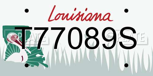 T77089S Louisiana License Plate