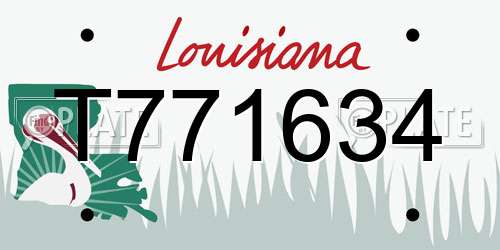 T771634 Louisiana License Plate