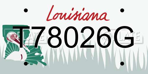 T78026G Louisiana License Plate