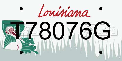 T78076G Louisiana License Plate
