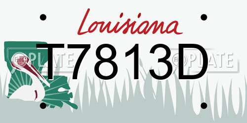 T7813D Louisiana License Plate