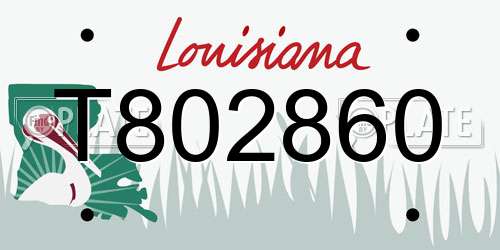 T802860 Louisiana License Plate