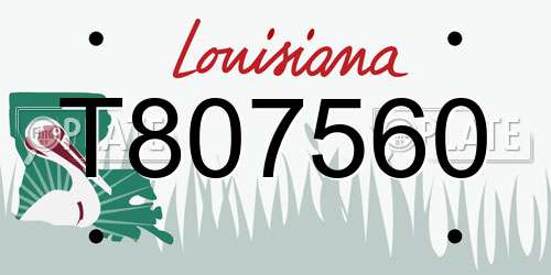 T807560 Louisiana License Plate