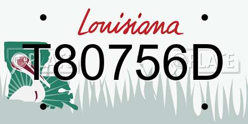 T80756D Louisiana License Plate