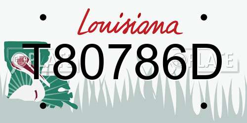 T80786D Louisiana License Plate