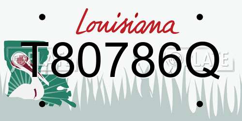 T80786Q Louisiana License Plate