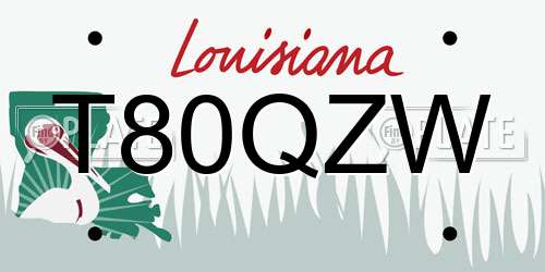 T80QZW Louisiana License Plate