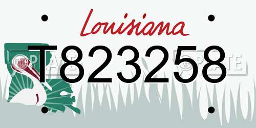 T823258 Louisiana License Plate